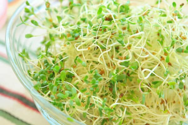 Sprouts